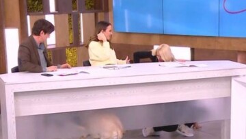 Η Ελένη Μενεγάκη έριξε τον Δημήτρη Ουγγαρέζο από το σκαμπό