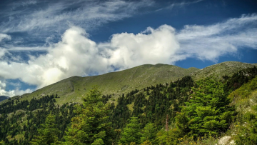 Ένας ορεινός προορισμός-εμπειρία στις καταπράσινες πλαγιές της Θεσπρωτίας -Ορειβασία και πεζοπορία ανάμεσα σε έλατα