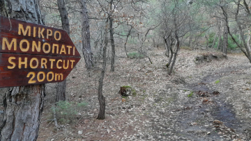 Ταξίδι στην αρχή του ανθρώπου -Ο φυσιοδίφης που αναδεικνύει απολιθώματα 40 εκατομμυρίων ετών στο Σουφλί