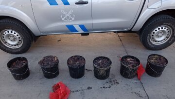 Ψάρευε παράνομα ολοθούρια στην Κεραμωτή Καβάλας