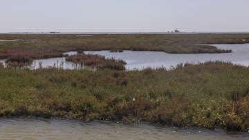 Θεσσαλονίκη: Εντοπίστηκε νεκρός 51χρονος στον Αξιό Ποταμό αλλά δεν είναι ο αγνοούμενος