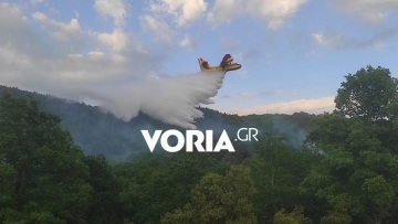 Χαλκιδική: Μαίνεται η μεγάλη φωτιά σε δάσος στον Στανό