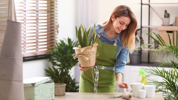 Λιγότερο άγχος και περισσότερη δημιουργικότητα με 5 πολύτιμα φυτά