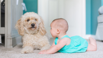 Οξεία ηπατίτιδα σε παιδιά: Εντοπίστηκε ένας πιθανός παράγοντας κινδύνου