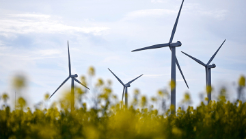 Γεωργιάδης: Η Ελλάδα, στα επόμενα τρία με τέσσερα χρόνια, θα μπορεί να καλύψει, σχεδόν, τις ημερήσιες ανάγκες της από ΑΠΕ