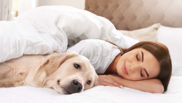 Ύπνος: 7 στους 10 επιλέγουν να κοιμούνται με αυτό τον τρόπο και είναι κερδισμένοι