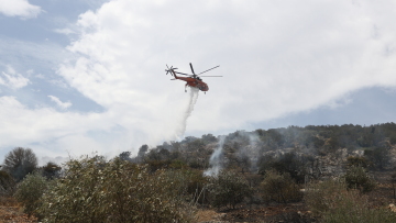 Φωτιά στην Αρτέμιδα: «Απειλήθηκαν σπίτια, αλλά η επέμβαση ήταν άμεση», λέει ο δήμαρχος της περιοχής