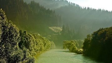 Ταξίδι στα Καρπάθια: Μια συναρπαστική εμπειρία στα ίχνη του βίσωνα