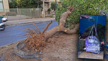Κακουργηματική δίωξη στον φίλο του 18χρονου που σκοτώθηκε στο Χαλάνδρι - Δείτε βίντεο από την κόντρα