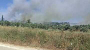 Φωτιά τώρα σε δασική έκταση στο Καλαμάκι Αχαΐας