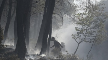 Πύργος: Σε ύφεση και οι τρεις φωτιές 