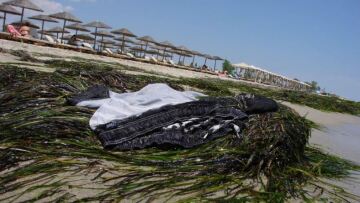 Χαλκιδική: Ψάχνουν για 12η μέρα τον αγνοούμενο Μάρτιν - Μαγιό παρόμοιο με το δικό του βρέθηκε στην Κατερίνη