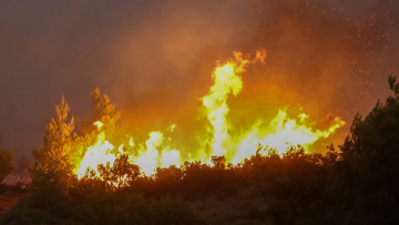 Φωτιά στα Μέγαρα: Μάχη με τον χρόνο και τις διάσπαρτες εστίες δίνουν οι πυροσβεστικές δυνάμεις