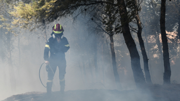 Εισαγγελική παρέμβαση για τις πυρκαγιές σε Πεντέλη και Μέγαρα