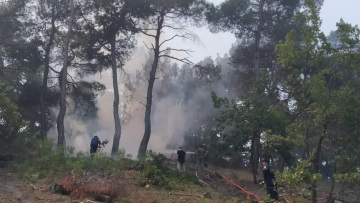 Φωτιά στον Έβρο: Αναζωπυρώσεις στη Δαδιά  - Στη «μάχη» 10 εναέρια μέσα