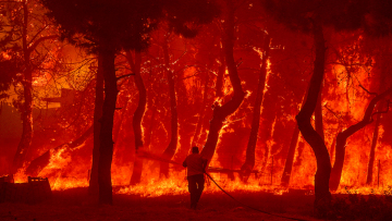 Λέσβος: Πύρινες γλώσσες έκαψαν σπίτια στα Βατερά - Δείτε βίντεο και φωτογραφίες