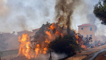 Η φωτιά μπήκε στα Βατερά Λέσβου, κάηκαν σπίτια και επιχειρήσεις - Δείτε βίντεο
