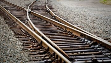 Έβρος: Τρένο διαμέλισε 13 βουβάλια που έβοσκαν