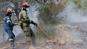 Μεγάλη αναζωπύρωση στη Δαδιά - Μήνυμα από 112 για εκκένωση προς Σουφλί 