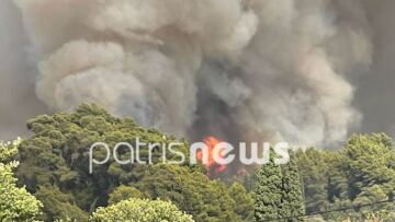 Φωτιά στην Ηλεία: «Πολύ καλύτερη η εικόνα» δήλωσε ο αντιπεριφερειάρχης 