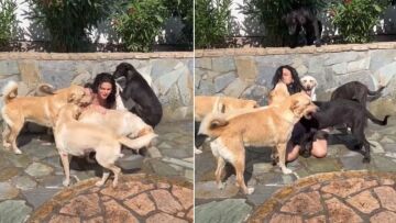 Δήμητρα Κατσαφάδου: Προσπαθεί να κάνει μπάνιο τα σκυλιά της