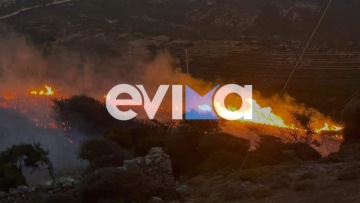 Φωτιά στους Ραπταίους της Εύβοιας