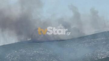 Πυρκαγιές: Αναζωπύρωση της φωτιάς στον Δομοκό - Ενισχύονται οι πυροσβεστικές δυνάμεις (βίντεο και φωτογραφίες)