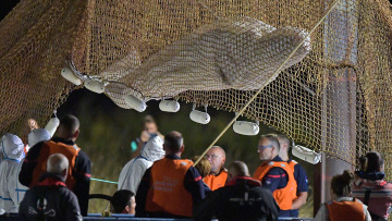 Γαλλία: Έβγαλαν από τα νερά του Σηκουάνα την παγιδευμένη φάλαινα Μπελούγκα - Δείτε βίντεο