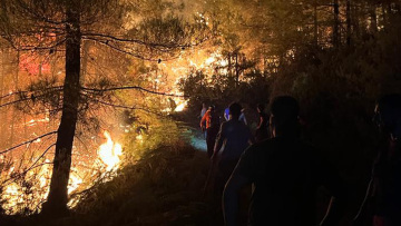 Πυκνό δάσος καίει η φωτιά στη Θάσο - Δείτε βίντεο και φωτογραφίες