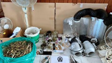 Κως: Έστησε εργαστήριο παραγωγής κάνναβης μέσα στο ξενοδοχείο που έμενε!