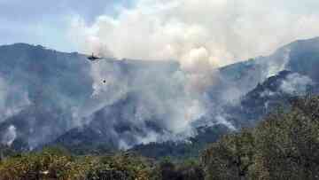 Μάχη με τις φλόγες στη Θάσο - Κάηκαν τα μοναδικά έλατα του νησιού