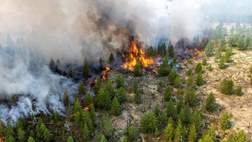 Μεγάλες δασικές πυρκαγιές στη Ρωσία - Ομίχλη και οσμή καμένου πάνω από τη Μόσχα