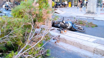 Βίντεο ντοκουμέντο: Η στιγμή της πτώσης του δέντρου στην Κρήτη που σκότωσε τον 50χρονο