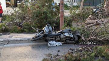 Ηράκλειο: «Του φώναζαν ότι πέφτει το δέντρο, αλλά δεν τους άκουγε»