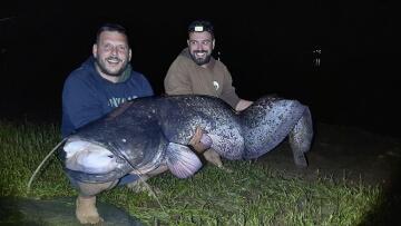 Λίμνη Πλαστήρα: Ψαράδες έπιασαν γουλιανό σχεδόν 2,4 μέτρων και 90 κιλών