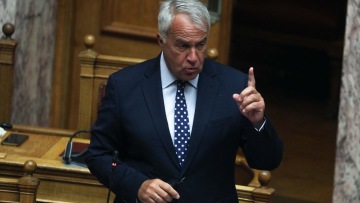 Κακοποίηση γαϊδουριού στη Ζίτσα: Άμεση παύση του αντιδημάρχου ζήτησε ο Βορίδης