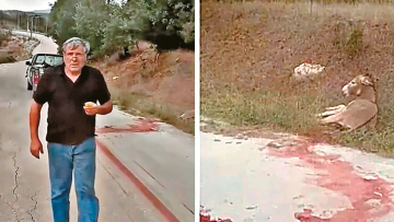 Η δικογραφία για το τέρας που σκότωσε το γαϊδουράκι