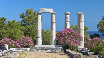 Τα βότανα της Σαμοθράκης -Οι παραδόσεις ενός τόπου με μεγάλο γαστρονομικό πλούτο