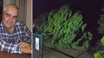 Σέρρες: Αυτός είναι ο 69χρονος που καταπλακώθηκε από δέντρο  - Βγήκε στην αυλή για να πάρει το κινητό!