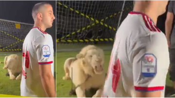 Κώστας Μανωλάς: Ο τρόμος του στον βρυχηθμό λιονταριού στη φωτογράφηση με τη Σαρζά - Δείτε βίντεο