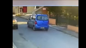 Θεσσαλονίκη: Ταυτοποιήθηκε η οδηγός ΙΧ που παρέσυρε σκύλο και τον παράτησε αιμόφυρτο - Βίντεο