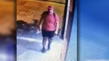 Θεσσαλονίκη: Στον εισαγγελέα η δικογραφία για τον 39χρονο που «έλιωσε» το γατάκι