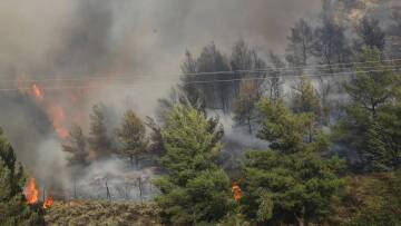 Φωτιά σε δασική έκταση στην Κομοτηνή