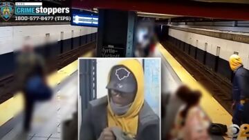 ΗΠΑ: Πήρε φόρα, όρμησε κατά πάνω του και τον έριξε στις ράγες του μετρό στο Μπρούκλιν - Δείτε βίντεο