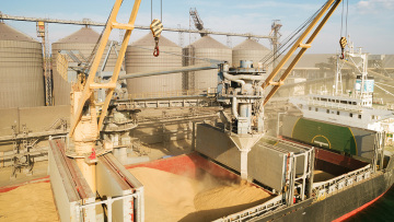 Πόλεμος στην Ουκρανία: Ξεκινούν εκ νέου οι επιθεωρήσεις πλοίων με ουκρανικά σιτηρά στα Στενά του Βοσπόρου