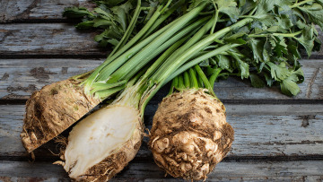 Η ρίζα – υπερτροφή που προστατεύει από οστεοπόρωση και διαβήτη