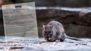 Χαμός με την πιο ασυνήθιστη αγγελία εργασίας: «Πιάστε ποντίκια για 160.000 ευρώ»