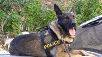 Η Vera βρήκε κοκαΐνη σε αυτοκίνητο στην Ξάνθη