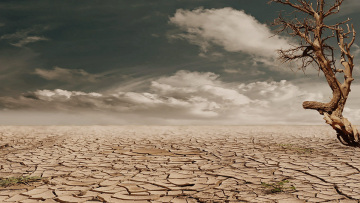 Κλιματική αλλαγή - Copernicus: Το 2022 ήταν το δεύτερο πιο ζεστό έτος που έχει καταγραφεί ποτέ στην Ευρώπη