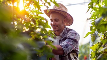 Το χόμπι που καταπολεμά το άγχος και προφυλάσσει από χρόνιες νόσους και καρκίνο